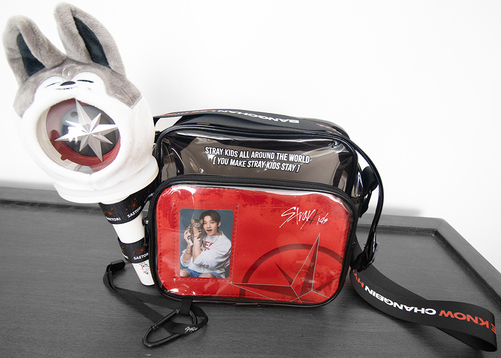Stray Kids concert bag