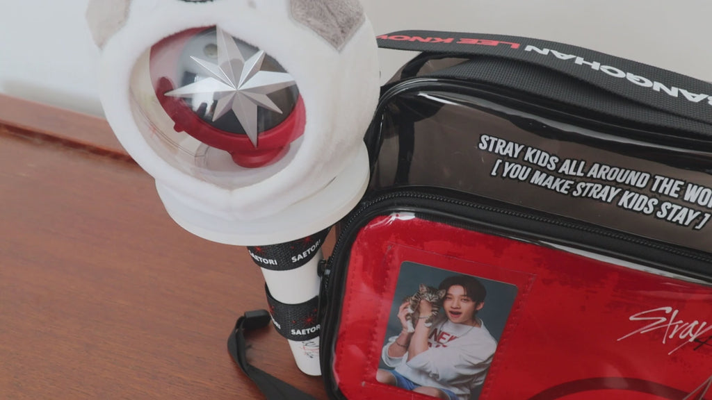 Stray Kids concert bag